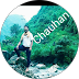 Rohit Chauhan